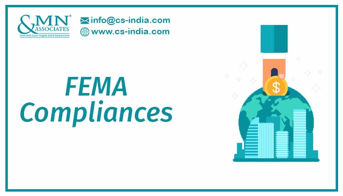 FEMA consultants in Haryana